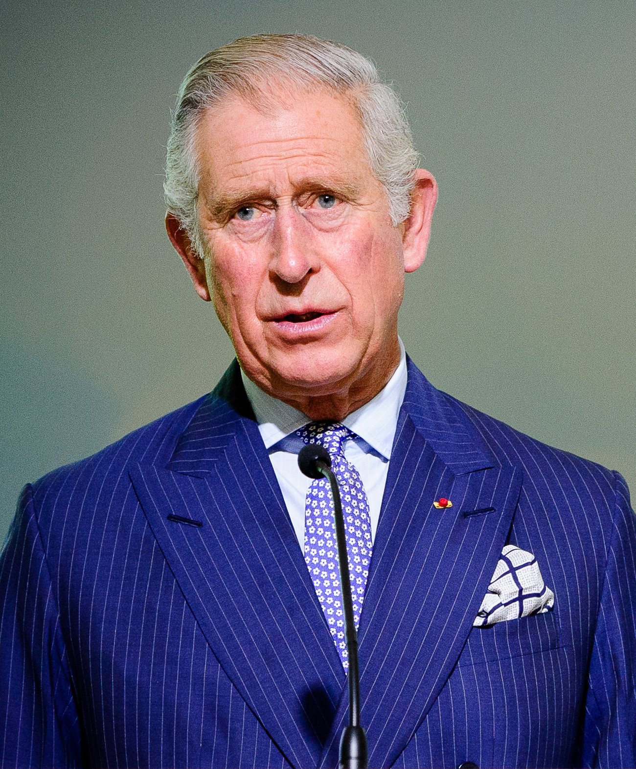 Charles III, Rei em Ascenção